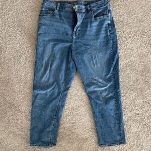 American Eagle Outfitters Men’s Medium Wash Slim Jeans